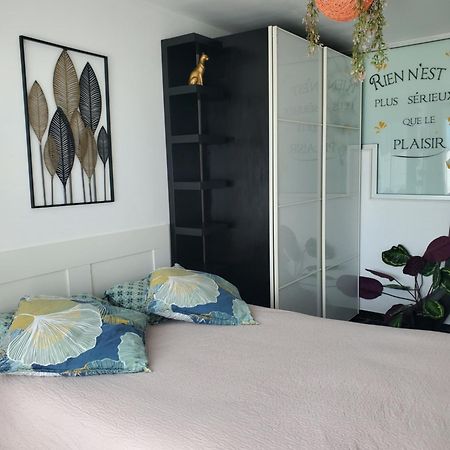 Appartement Cosy Entierement Equipe Toulouse Bagian luar foto