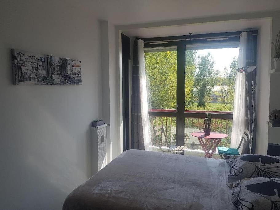 Appartement Cosy Entierement Equipe Toulouse Bagian luar foto