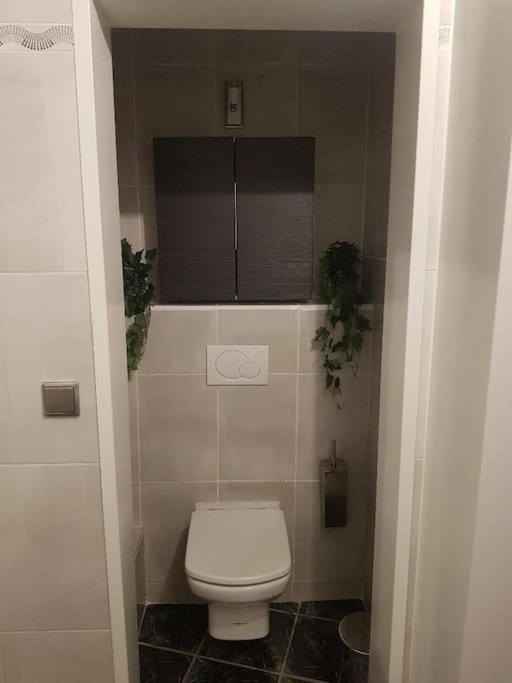 Appartement Cosy Entierement Equipe Toulouse Bagian luar foto